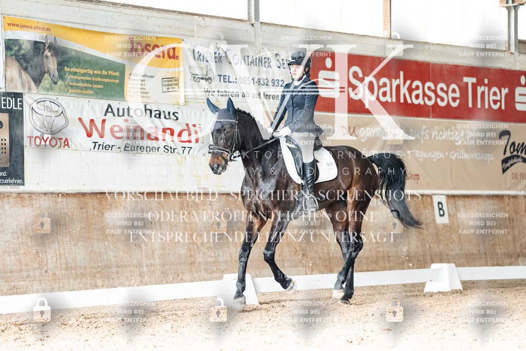 CK902371 | Turnierfotografie Pferdefotografie Trier Rheinland-Pfalz Pferdesport Reitsport Tierfotografie Sportfotografie Pferdevideo Pferdevideografie Equestrianvideography equestrianphotography  - Realisiert mit Pictrs.com