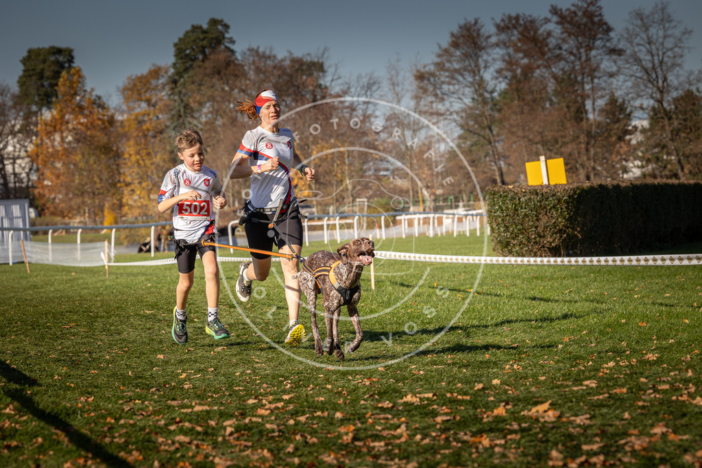 CaniXpix_0L8A6648 | Hundefotografie, Tierfotograf, Pfotenfotografie, Fotoshooting Hund, Hunde Portrait, Hundesport, Hundeportraits, Heideshooting, Hunde, Sportfotograf, Hundefotograf, Turnierhundsport, THS,  - Realisiert mit Pictrs.com