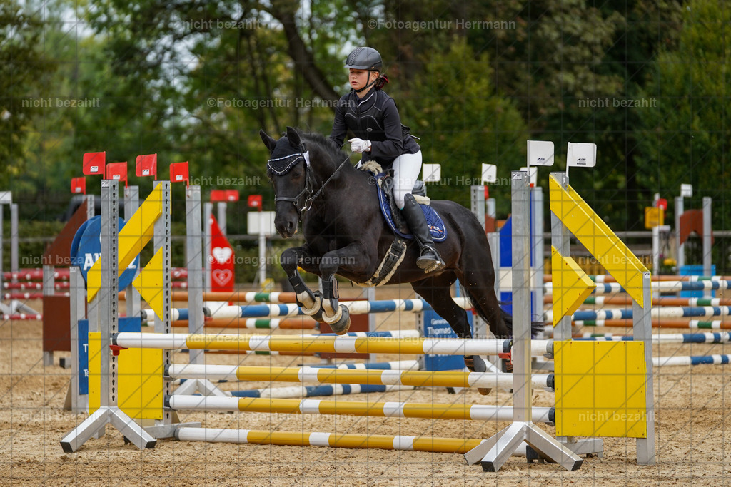 20231008-SN_01335 | Diessen am Ammersee, 2023, Dressur- und Springturnier, Reitsport, Turnierfotografie, Pferdebilder, Reitbilder, Turnierfotografen Bayern, Fotoagentur Herrmann