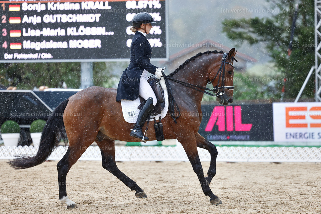 8_1-001-Klasse S_  -StoibPH-3972 | working equitationturnier fotograf videograf stoibphotography marixx film working equitation deutschland reitsport turnierfotografie eventfotografie equestrian events