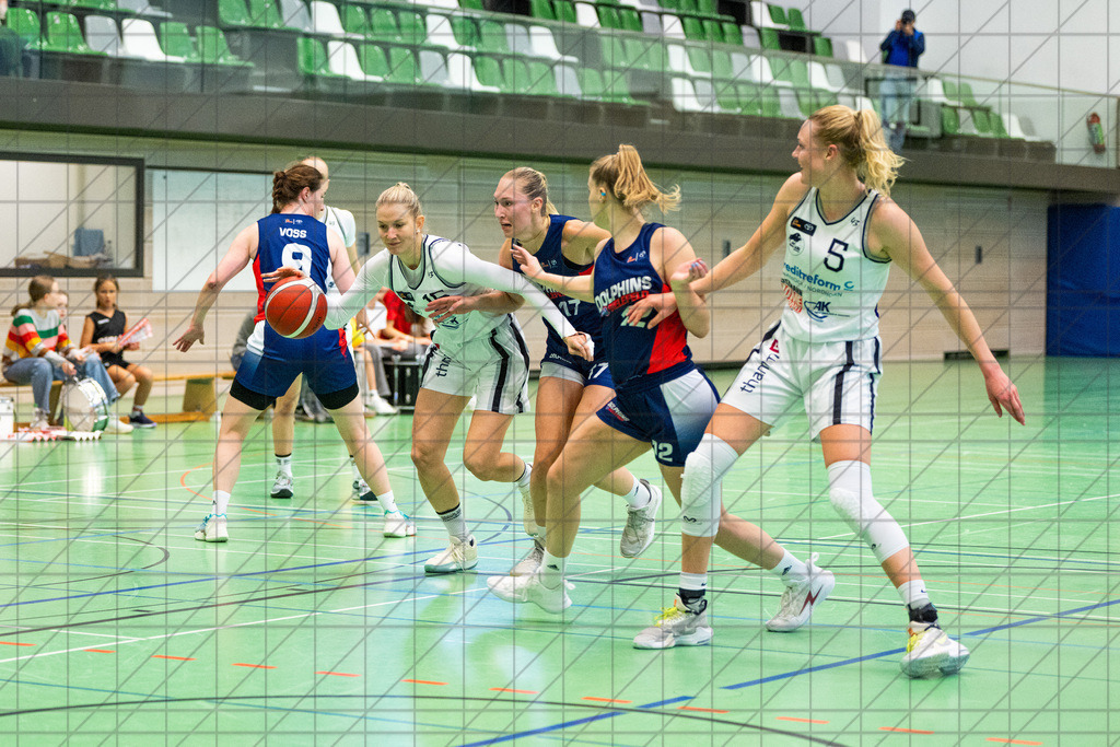 2. DBBL Nord 24/25 | 27.10.2024 | BBC OS vs. TSVE Bielefeld  | 2. DBBL Nord 24/25 | 27.10.2024 | BBC OS vs. TSVE Bielefeld - - - - - CREDIT, www.bullenfotos.de, Martin König, Hörner Weg 40, D-49078 Osnabrück, +4917663732967, Nutzung und Weitergabe nur zu den vereinbarten Zwecken. Presseanfragen an Urheber. Alle Rechte beim Urheber. - - - - - - Realisiert mit Pictrs.com