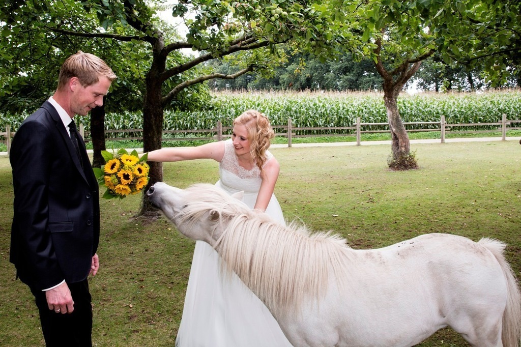 top-top.de Hochzeiten065 | Foto, Video, Fotografie, Videografie, Fotobox, DJ, Discjockey, Musik, Musikbox, Veranstaltung, Photobooth, Amazon, Ebay, Buchtipp, Bestseller, Autor, Verlag, Buch, Wesel, Hamminkeln, NRW, Dinslaken, Rees, Drohne, Hochzeit, Party, Fotobox, Wesel, Fotograf