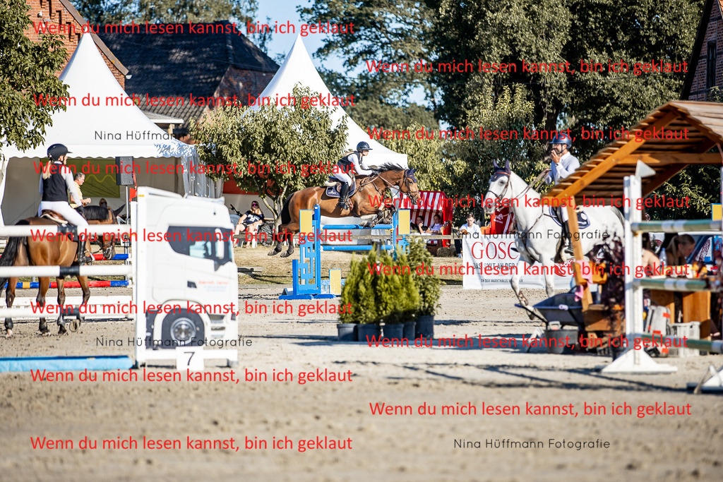 BK1A8291 | Turnierbilder Turnierfotos Nina Hüffmann Turnierfotografie Pferdefotografie Tierzeichnung Haustierzeichnung Pferdezeichnung Hundezeichnung Videograf  - Realisiert mit Pictrs.com