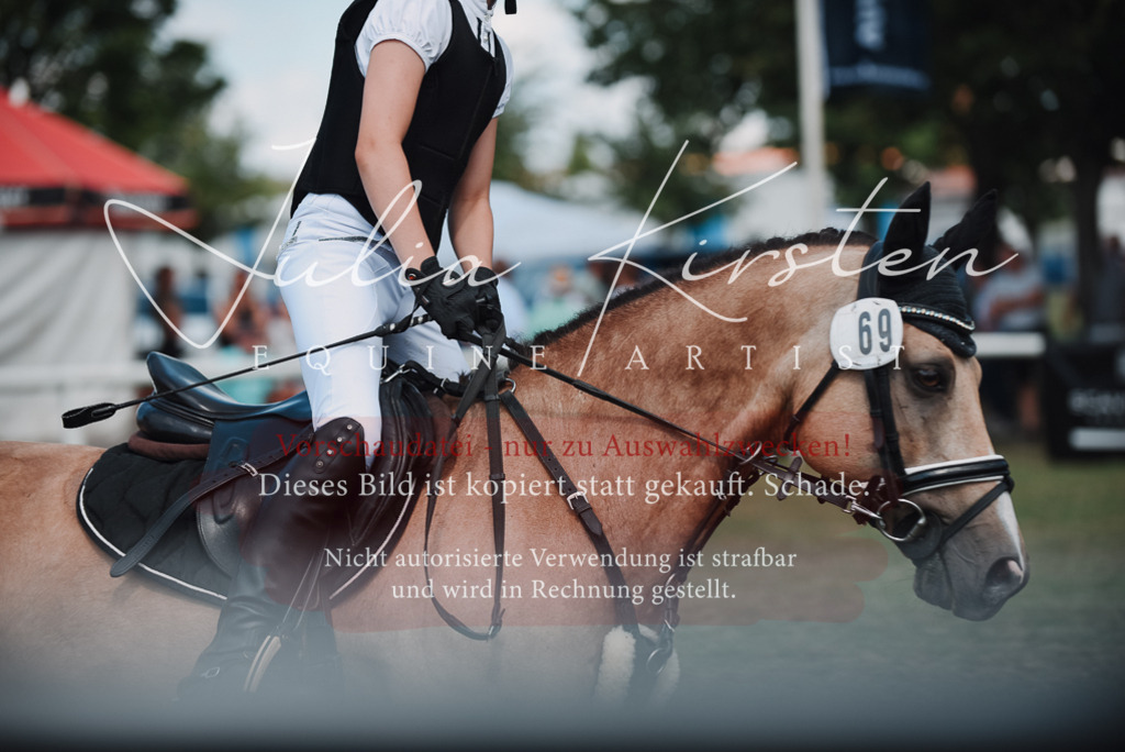 DSC_5847 | Pferde- und Turnierfotografie in Westsachsen. Pferdeportraits, Auftragszeichnungen und intuitive Kunst.