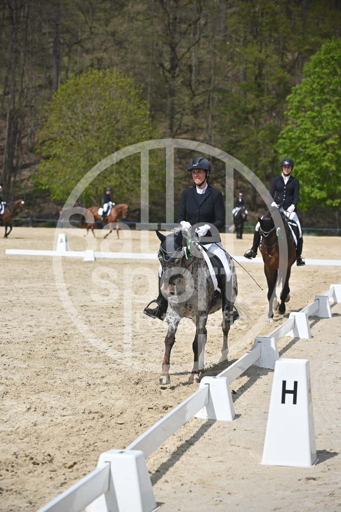 DSC_2695 | sattelsport - Realisiert mit Pictrs.com