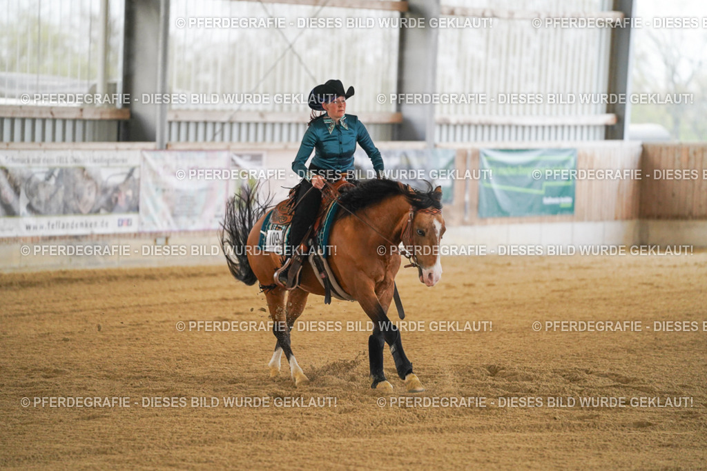 DSC08492 | Pferdegrafie