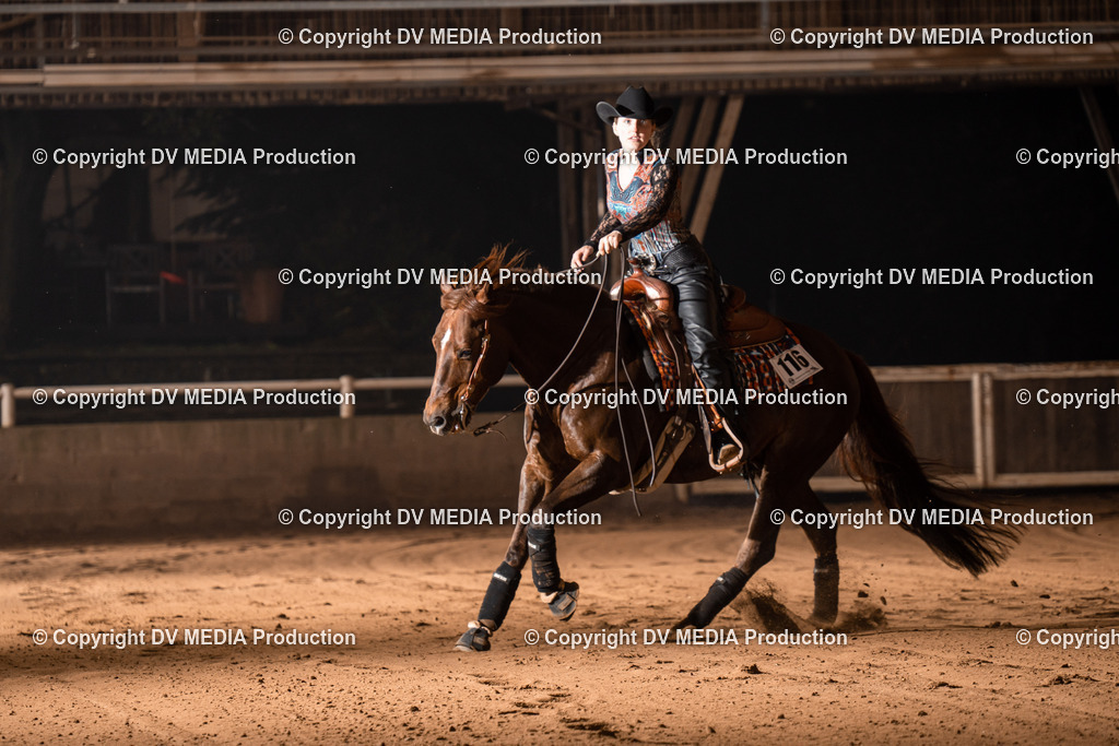 Erbach Tag 3-1070 | dv-media-shop - Realisiert mit Pictrs.com