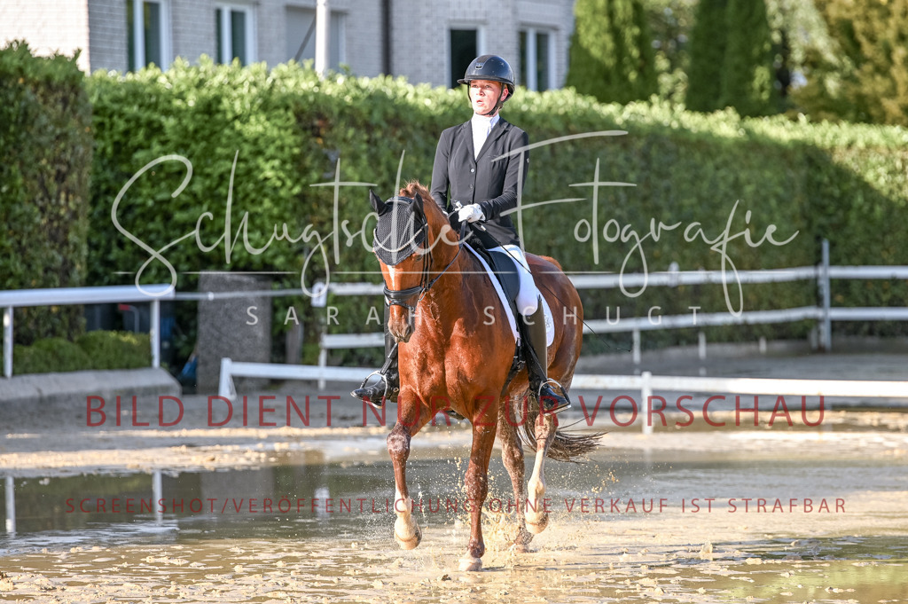 Schugtsche-Aluta25-54.Dressurprf.L1Trense-257 | Schugtsche Fotografie - Realisiert mit Pictrs.com