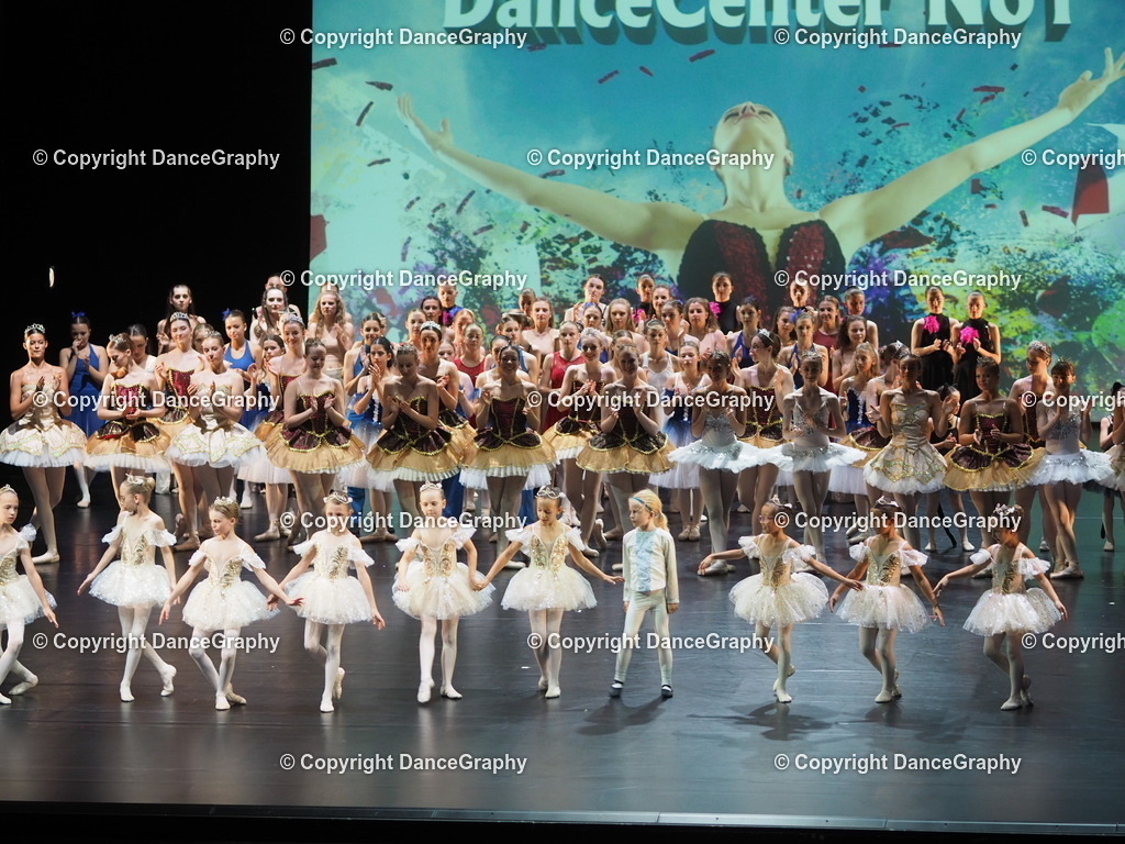 P7260491 | DanceGraphy - Realisiert mit Pictrs.com