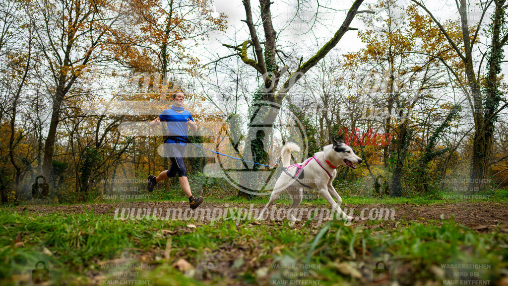 MompixPhotography_Bischwiller24_DI_CoursedeRelais-22 | PayLife