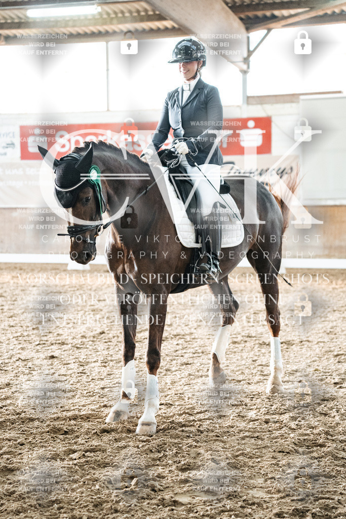 CK703167 | Turnierfotografie Pferdefotografie Trier Rheinland-Pfalz Pferdesport Reitsport Tierfotografie Sportfotografie Pferdevideo Pferdevideografie Equestrianvideography equestrianphotography  - Realisiert mit Pictrs.com