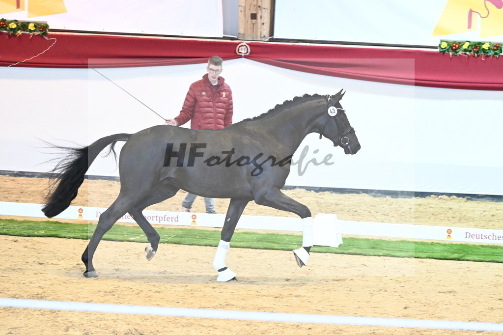 Kat.-Nr. 43 v. Dynamic Dream_Schafhof und Jäckel_2240506 | hf-fotografie - Realisiert mit Pictrs.com