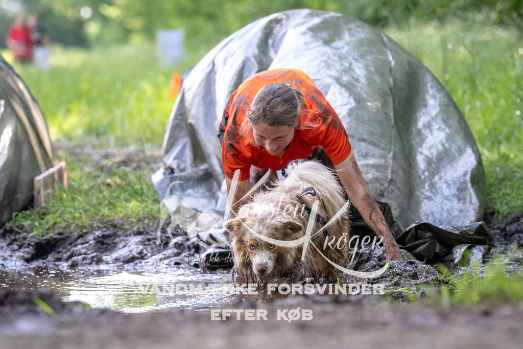 1204_ZZ91200 | kk-dogfotos