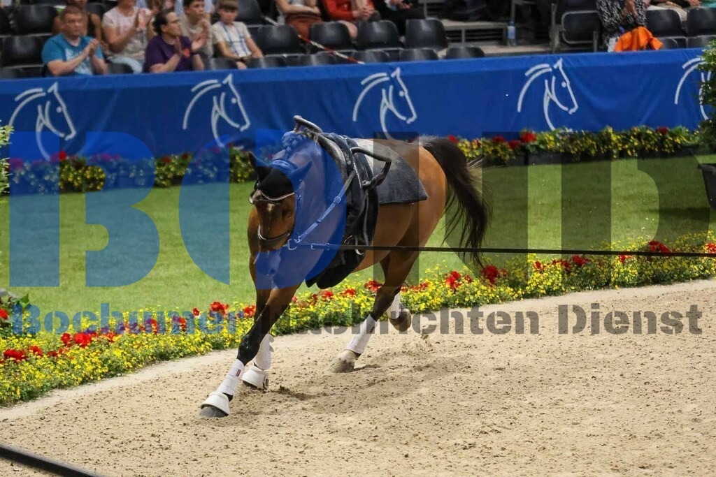 28.06.2025 | 28.06.2025 - Realisiert mit Pictrs.com