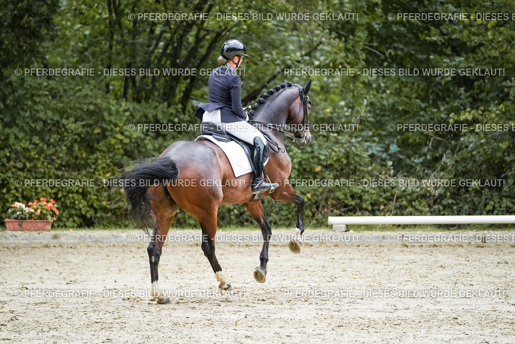 DSC00315 | Pferdegrafie