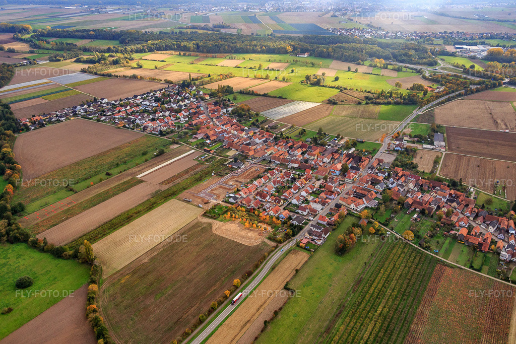 Luftbild: Ortsansicht von Norden in Erlenbach bei Kandel im Bundesland Rheinland-Pfalz in Deutschland. Foto: IMG_084548.jpg vom 23.10.2015 durch Werner Riehm/FLY-FOTO.de
