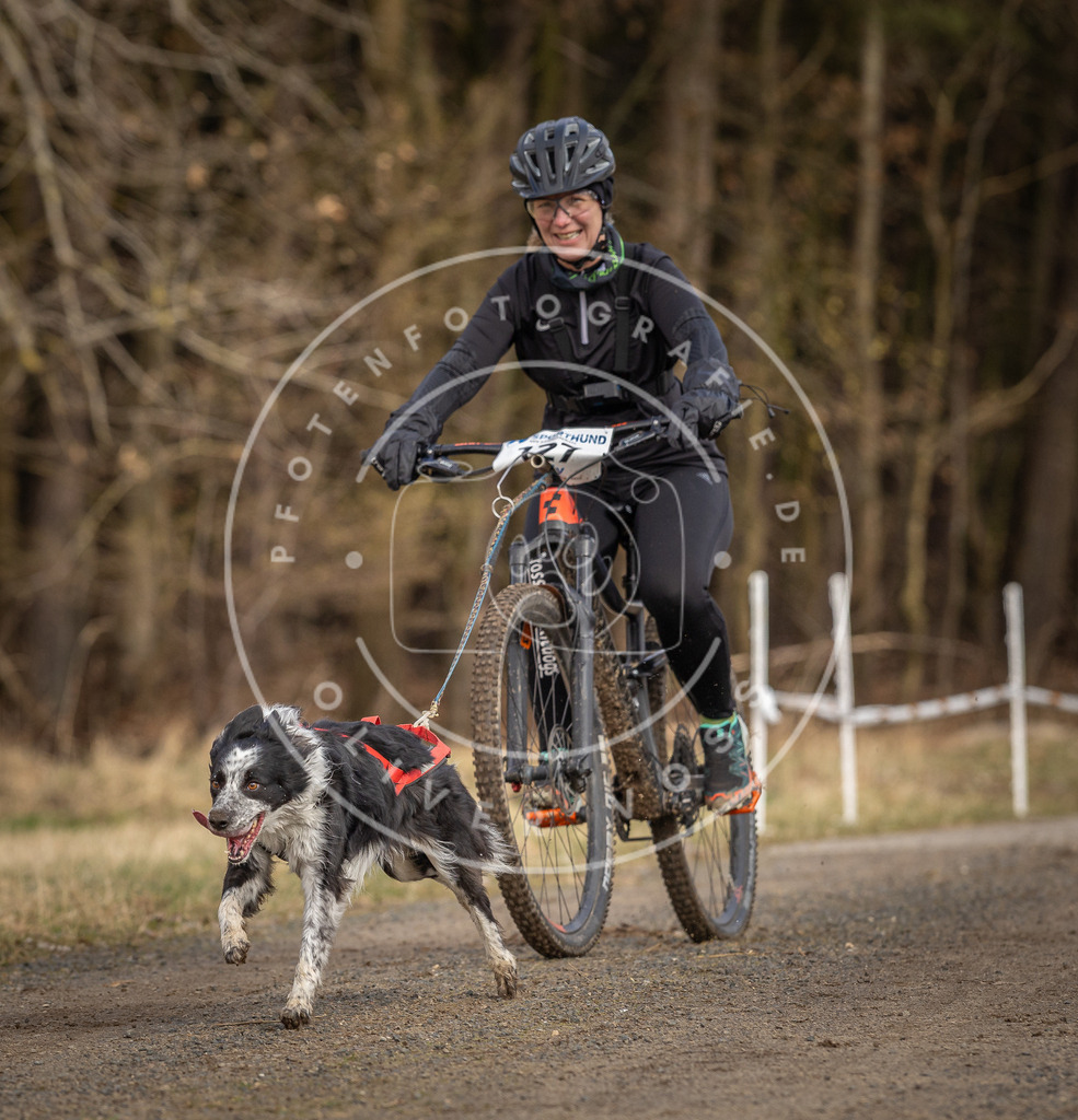 DV3A4548 | Hundefotografie, Tierfotograf, Pfotenfotografie, Fotoshooting Hund, Hunde Portrait, Hundesport, Hundeportraits, Heideshooting, Hunde, Sportfotograf, Hundefotograf, Turnierhundsport, THS,  - Realisiert mit Pictrs.com