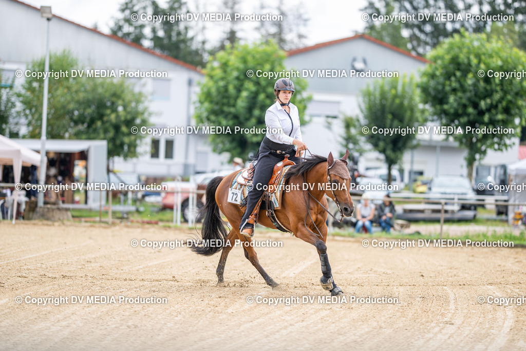 LM Heiligenwald Tag 3-1374 | dv-media-shop - Realisiert mit Pictrs.com