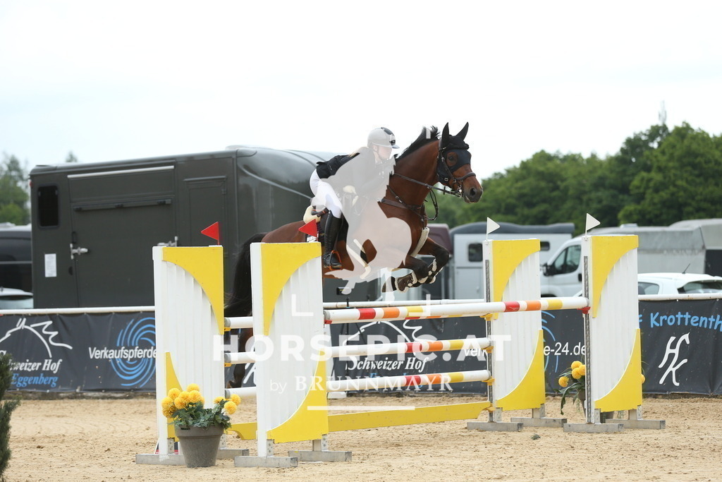 DL2Q3156 | Willkommen bei Brunnmayr - Design & Fotografie – Ihrem Spezialisten für Reitturniere und Pferdeveranstaltungen in Oberösterreich, Salzburg und Bayern! Seit über 17 Jahren sind wir leidenschaftlich dabei.