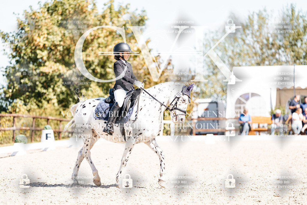 CK904149 | Turnierfotografie Pferdefotografie Trier Rheinland-Pfalz Pferdesport Reitsport Tierfotografie Sportfotografie Pferdevideo Pferdevideografie Equestrianvideography equestrianphotography  - Realisiert mit Pictrs.com