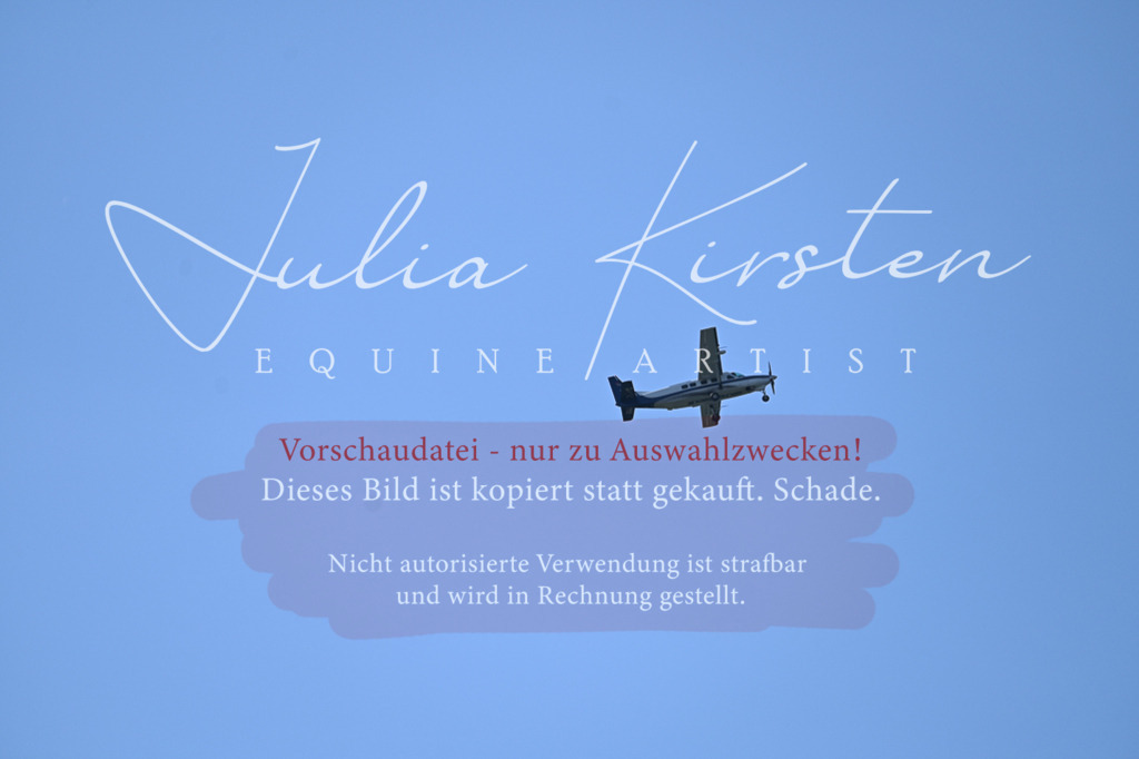 DSC_5029 | Pferde- und Turnierfotografie in Westsachsen. Pferdeportraits, Auftragszeichnungen und intuitive Kunst.