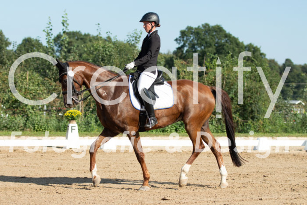 IMG_0644 | Creatify Fotografie