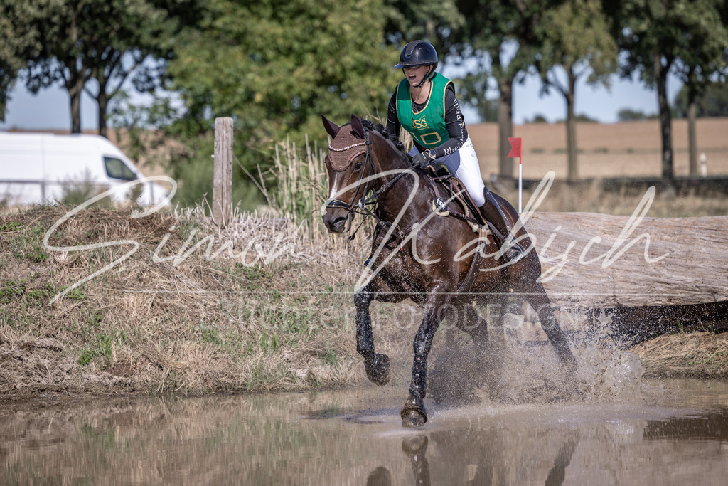 20260906-_3LI5724 | Tierfotografie Pferde, Hunde, Katzen, Haustiere.
Turnierfotografie Reitturniere, Reiten, Springreiten, Dressur in Hanau, dem Main-Kinzig-Kreis und dem Rhein-Main- Gebiet um Frankfurt