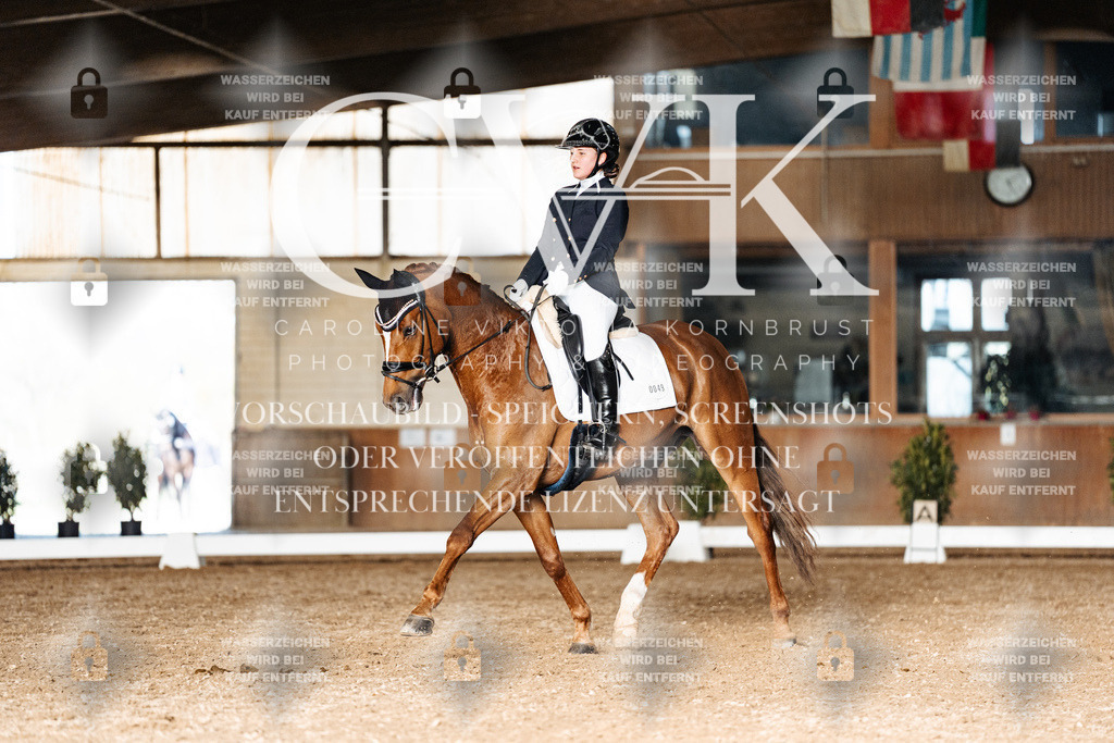 CK903142 | Turnierfotografie Pferdefotografie Trier Rheinland-Pfalz Pferdesport Reitsport Tierfotografie Sportfotografie Pferdevideo Pferdevideografie Equestrianvideography equestrianphotography  - Realisiert mit Pictrs.com