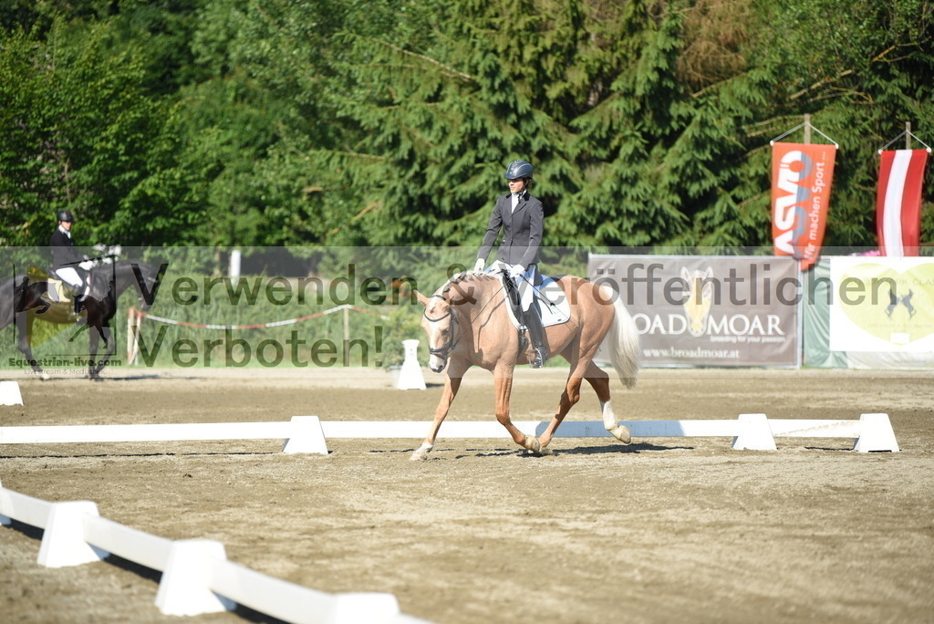 DSC_7004 | equestrian-live-com