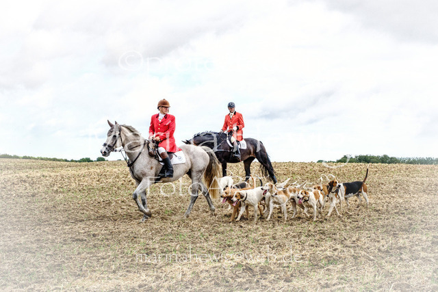 Jagd Knoop 26-1_MarinaHewig | Fotografie, FotoArt, PferdesportArt, Pferdesportfotografie, Landschaftsfotografie, Reisefotografie, Reise, Pferde - Realisiert mit Pictrs.com
