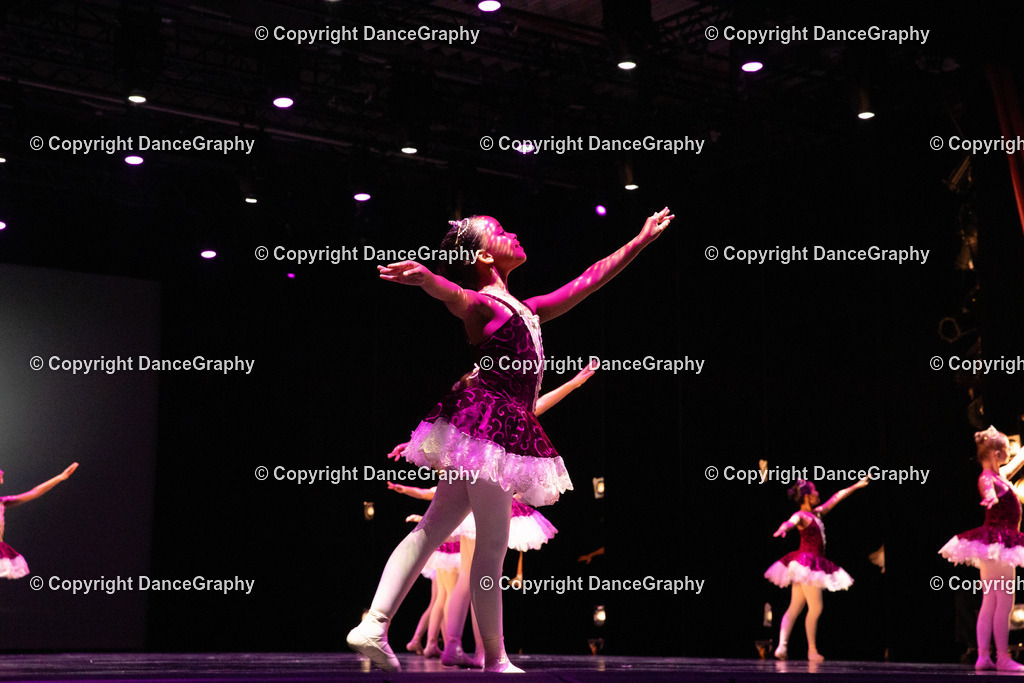 GPHY4451 | DanceGraphy - Realisiert mit Pictrs.com