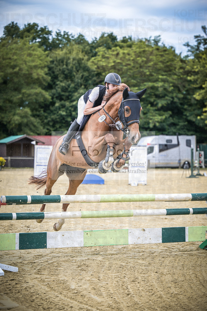 DOS_0750 | Entdecke hochwertige Reitturnierfotos von Foto Oger. Professionell, emotional und authentisch – jetzt Lieblingsmomente im Shop bestellen.Deutschlandweite Turnierfotografie. - Realisiert mit Pictrs.com