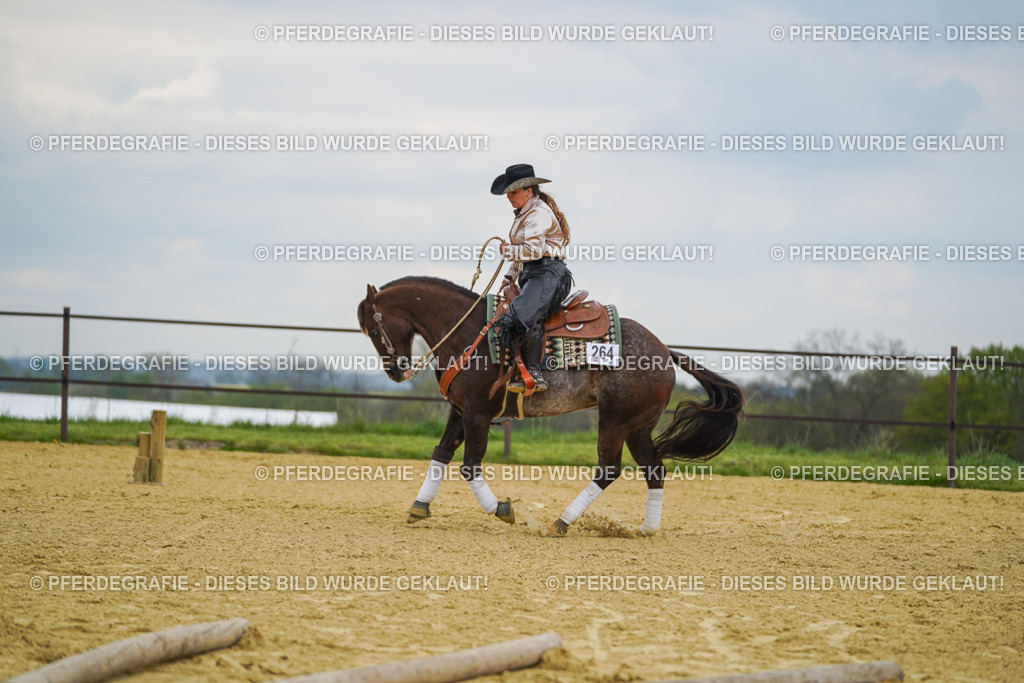 DSC07434 | Pferdegrafie