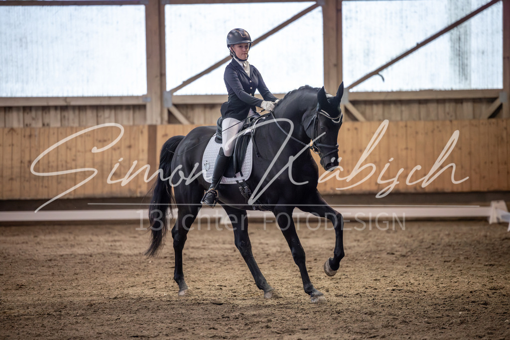 20251011-_3LI2125 | Tierfotografie Pferde, Hunde, Katzen, Haustiere.
Turnierfotografie Reitturniere, Reiten, Springreiten, Dressur in Hanau, dem Main-Kinzig-Kreis und dem Rhein-Main- Gebiet um Frankfurt