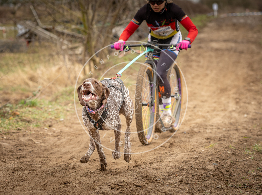 DV3A1262 | Hundefotografie, Tierfotograf, Pfotenfotografie, Fotoshooting Hund, Hunde Portrait, Hundesport, Hundeportraits, Heideshooting, Hunde, Sportfotograf, Hundefotograf, Turnierhundsport, THS,  - Realisiert mit Pictrs.com