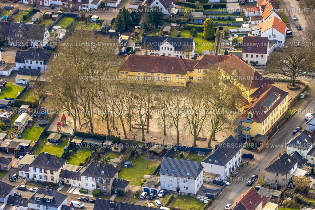 Gladbeck250201900 | Luftbild, Pestalozzischule GGS Gladbeck und Schulhof umgeben von Bäumen, Zweckel, Gladbeck, Ruhrgebiet, Nordrhein-Westfalen, Deutschland
