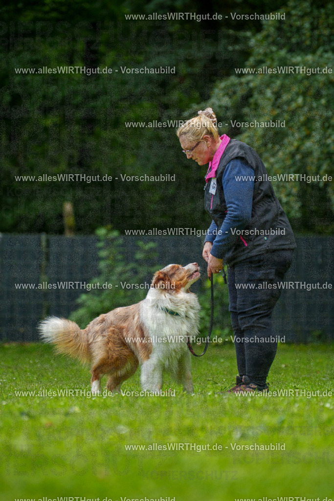 @allesWIRTHgut_Tierfotografie - www.allesWIRTHgut.de - 7R501202 | Professionelle Tierfotografie in Mönchengladbach von Daniel Wirth (allesWIRTHgut). Liebevolle & natürliche Bilder von Hunden & Katzen für unvergessliche Erinnerungen.