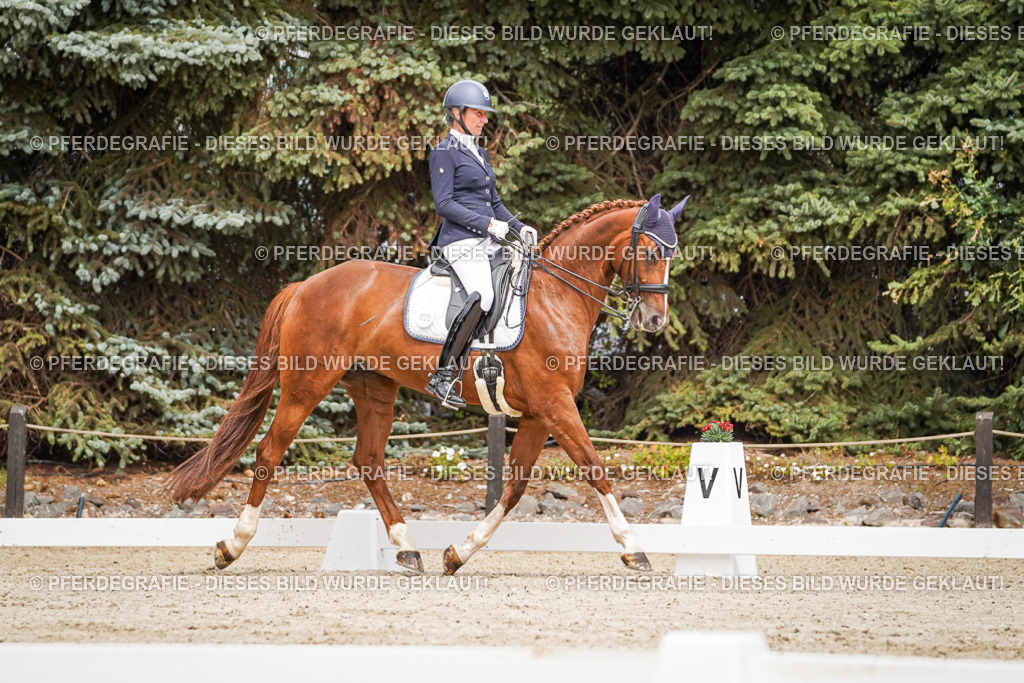 DSC05083 | Pferdegrafie