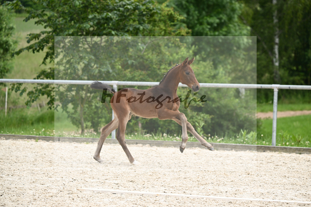 Va Bene x Fidertanz_HF_Koller_20240894 | hf-fotografie - Realizzato con Pictrs.com