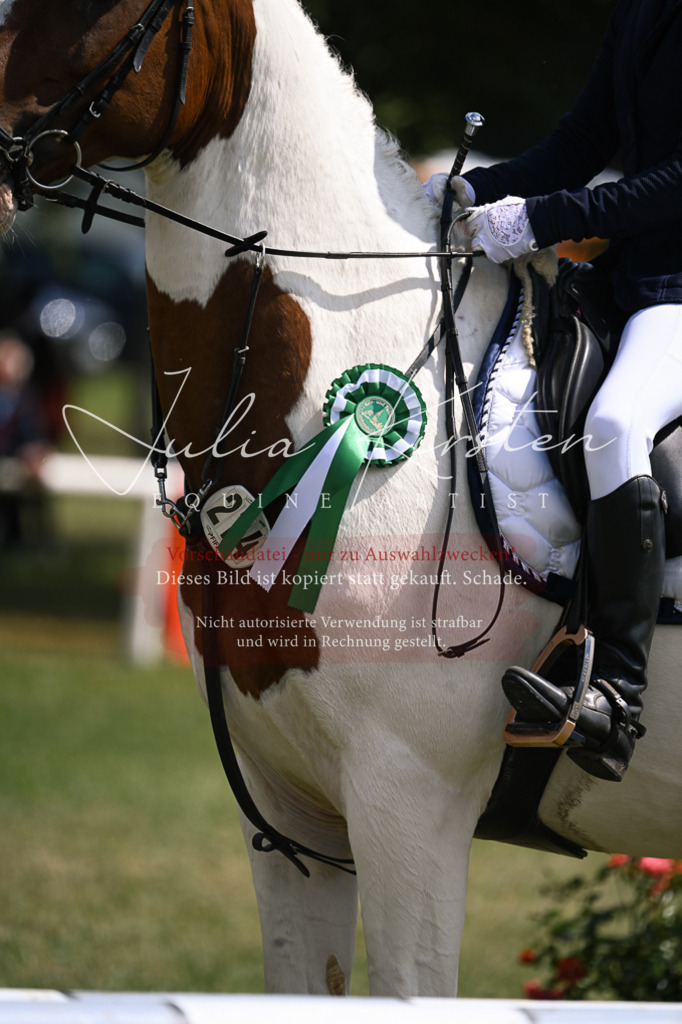 DSC_9188 | Pferde- und Turnierfotografie in Westsachsen. Pferdeportraits, Auftragszeichnungen und intuitive Kunst.