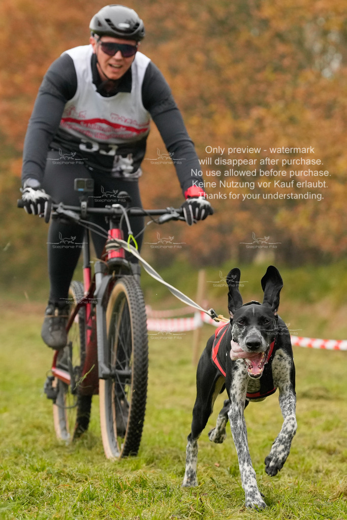 AusschnitteSa-91 | stephaniefillaphotographie - Realisiert mit Pictrs.com