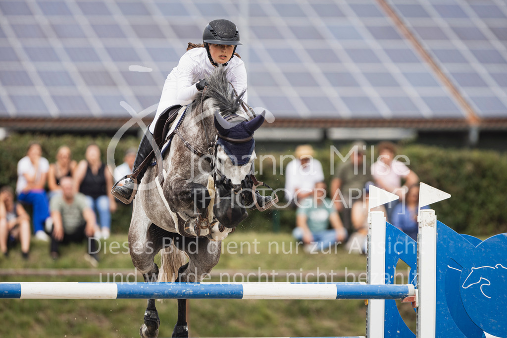 250628_PfSpTa_Youngster-S-456 | Deine schönsten Turniermomente als professionelle Fotos! Entdecke hochwertige Pferdesport-Fotografie im Online-Shop. Jetzt Fotos finden & bestellen!