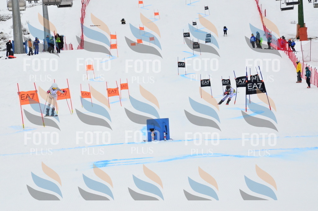 _ELE3570 | holidayphoto