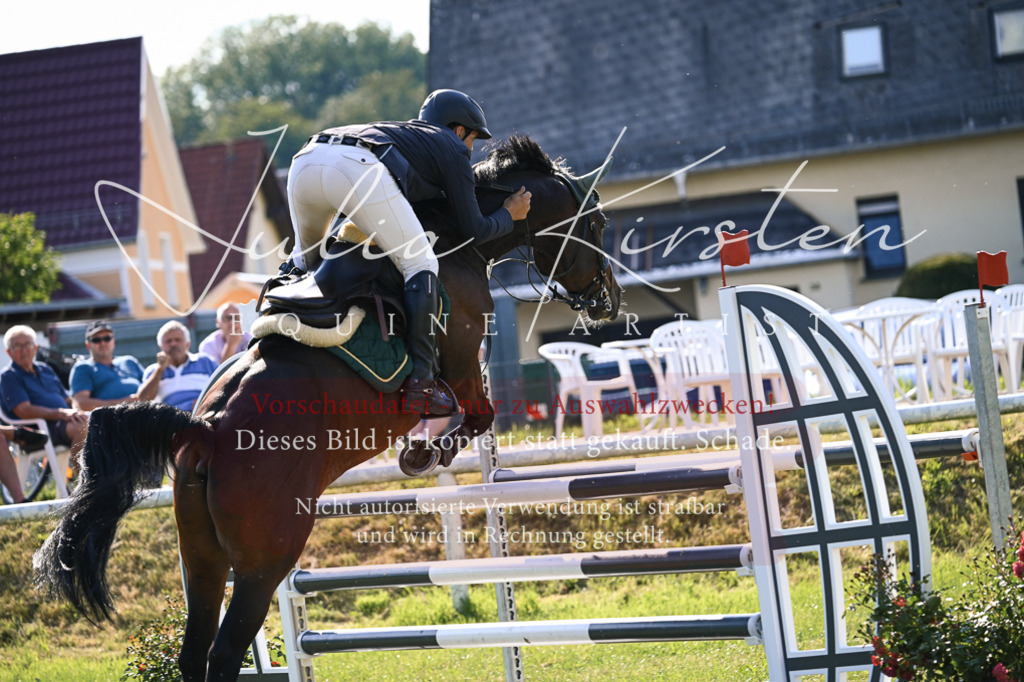 DSC_1420 | Pferde- und Turnierfotografie in Westsachsen. Pferdeportraits, Auftragszeichnungen und intuitive Kunst.