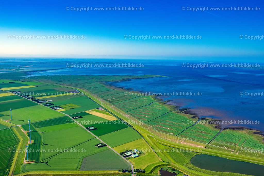 Ockholm_Sönkenissenkoog_ELS_8259100623 | REUßENKöGE 10.06.2023 Grasflächen- Strukturen einer Feld- und Wiesen- Landschaft " Ockholm " in Reußenköge im Bundesland Schleswig-Holstein, Deutschland. // Grass area structures of a salt marsh landscape " Ockholm " in Reussenkoege in the state Schleswig-Holstein, Germany. Foto: Martin Elsen