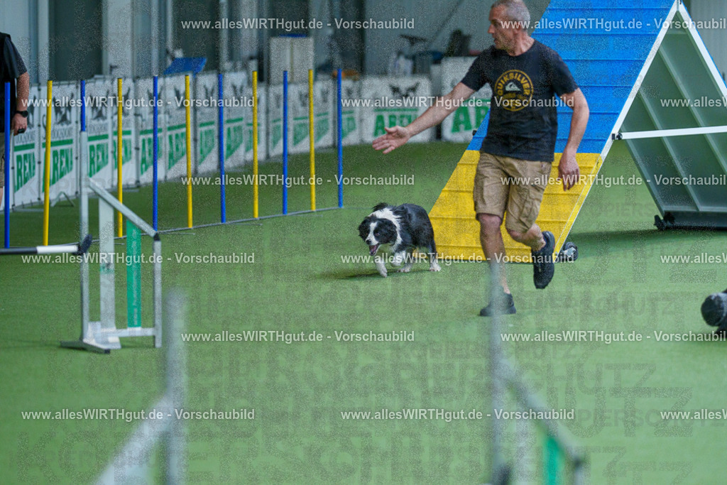 @allesWIRTHgut_Tierfotografie - www.allesWIRTHgut.de - 2604261508-7R504658 | Professionelle Tierfotografie in Mönchengladbach von Daniel Wirth (allesWIRTHgut). Liebevolle & natürliche Bilder von Hunden & Katzen für unvergessliche Erinnerungen.