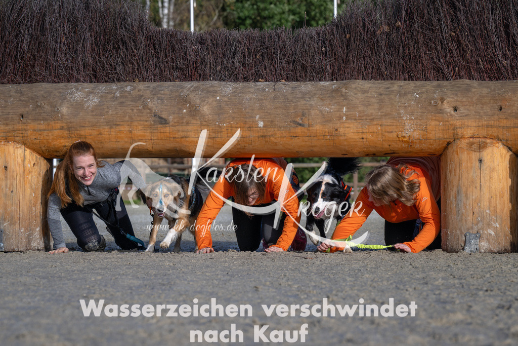 1052-_ZZ93048 | kk-dogfotos