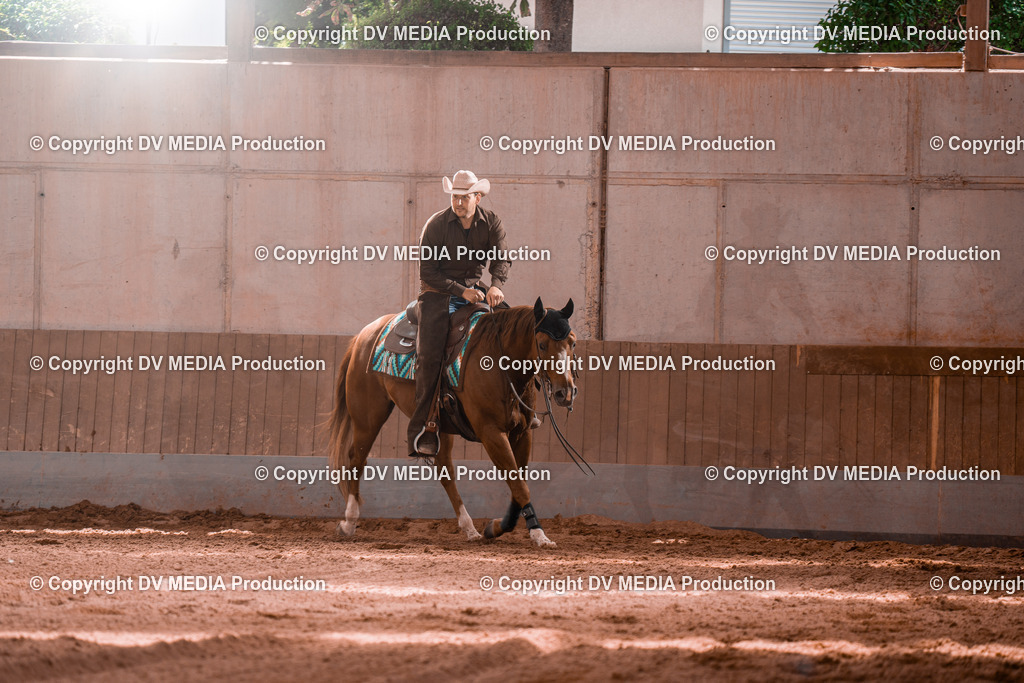 NE100687 | dv-media-shop - Realisiert mit Pictrs.com