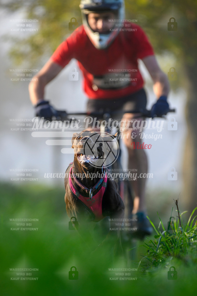MompixPhotography_20TSB_E3_Bike-36 | PayLife