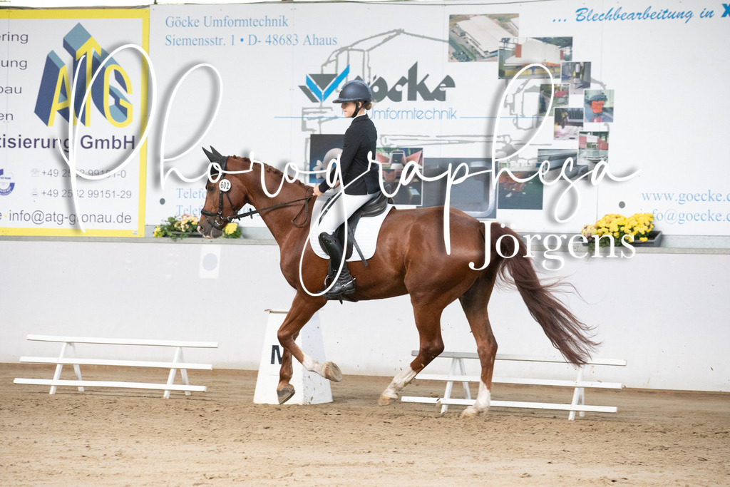 IMG_5880 | photographesa-joergens - Realisiert mit Pictrs.com